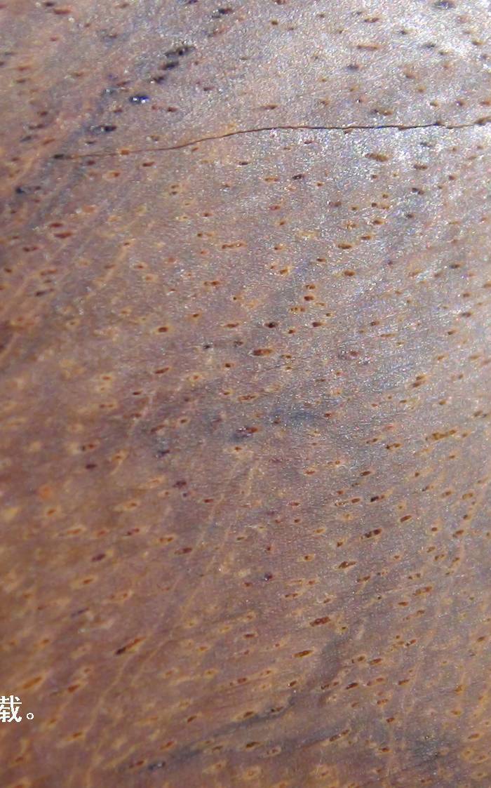 喜黄的哥哥看过来1_喜黄的哥哥看过来1鉴定_