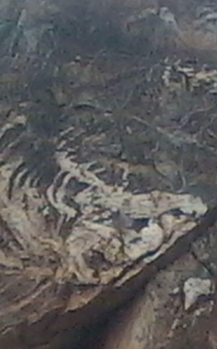 石头 帮忙鉴定下这是什么东西_石头 帮忙鉴定