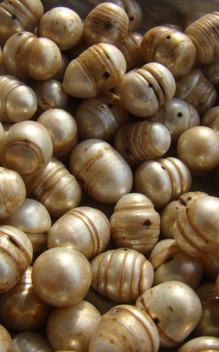 珍珠,是淡水的还是海水的,是野生的还是养殖的