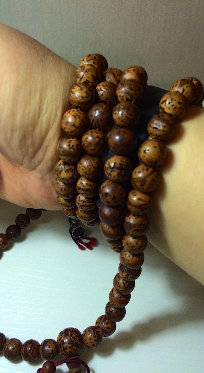 金刚菩提三瓣两瓣一瓣成串珠子,从藏区高僧相