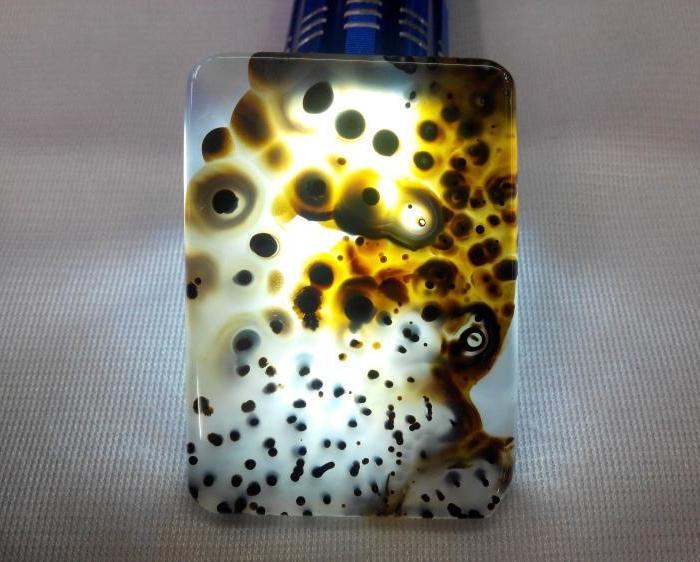 纯天然马达加斯加玛瑙海洋玉髓 梦幻摇钱树_纯