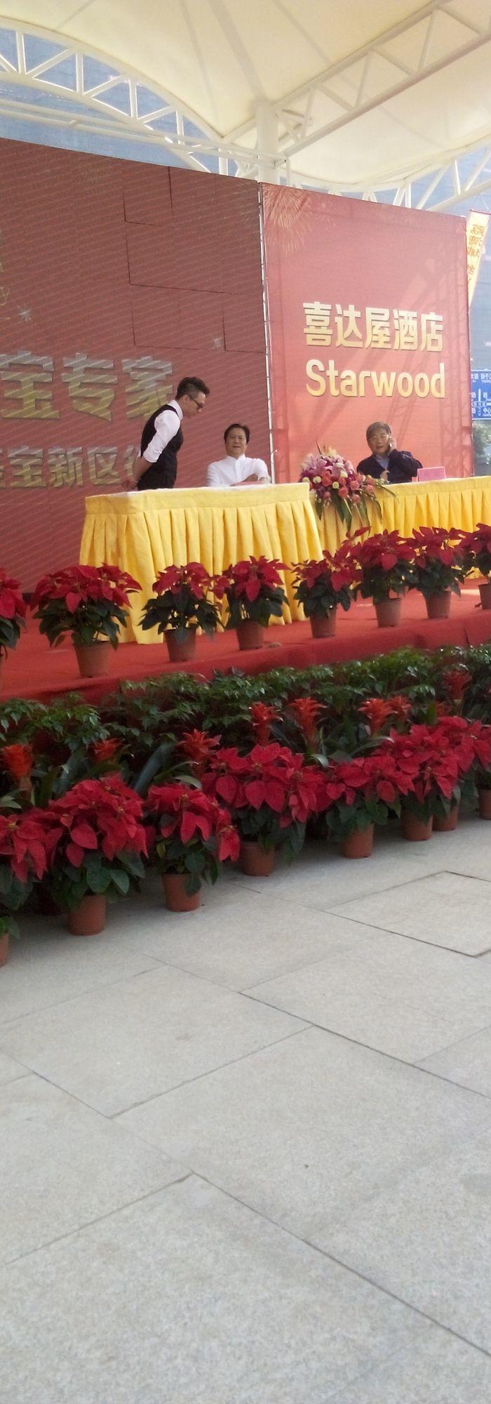 芦雁穿花玳瑁已经过国家级鉴宝专家王立军刘岩