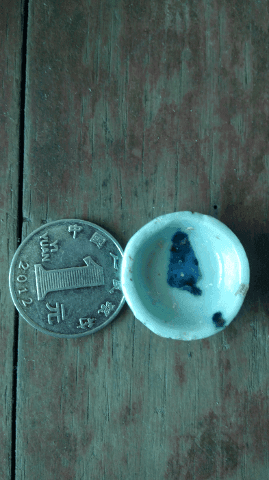 看看这个蛐蛐喝水的 到明吗_看看这个蛐蛐喝水