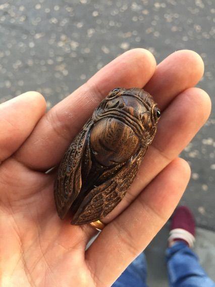 清代著名雕刻大师廖明山作品蝉_清代著名雕刻