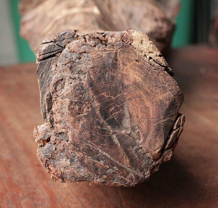 海黄或越黄根料素料2_海黄或越黄根料素料2鉴