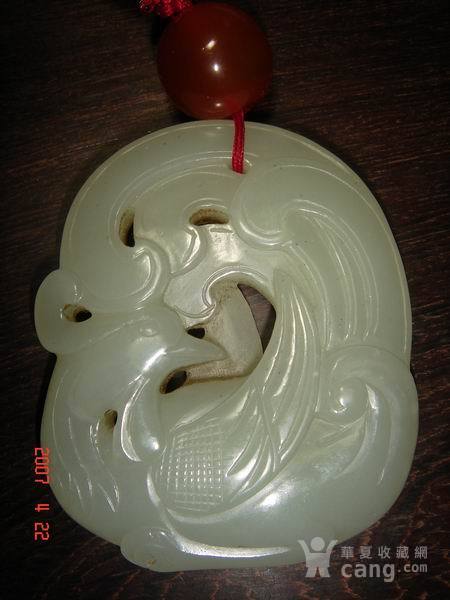 玉凤凰