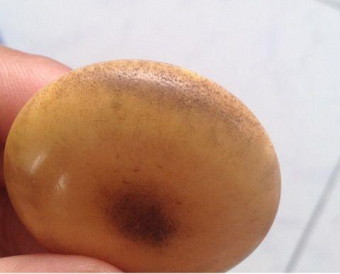 请懂的藏友看看是什么骨头做的有没有收藏价值