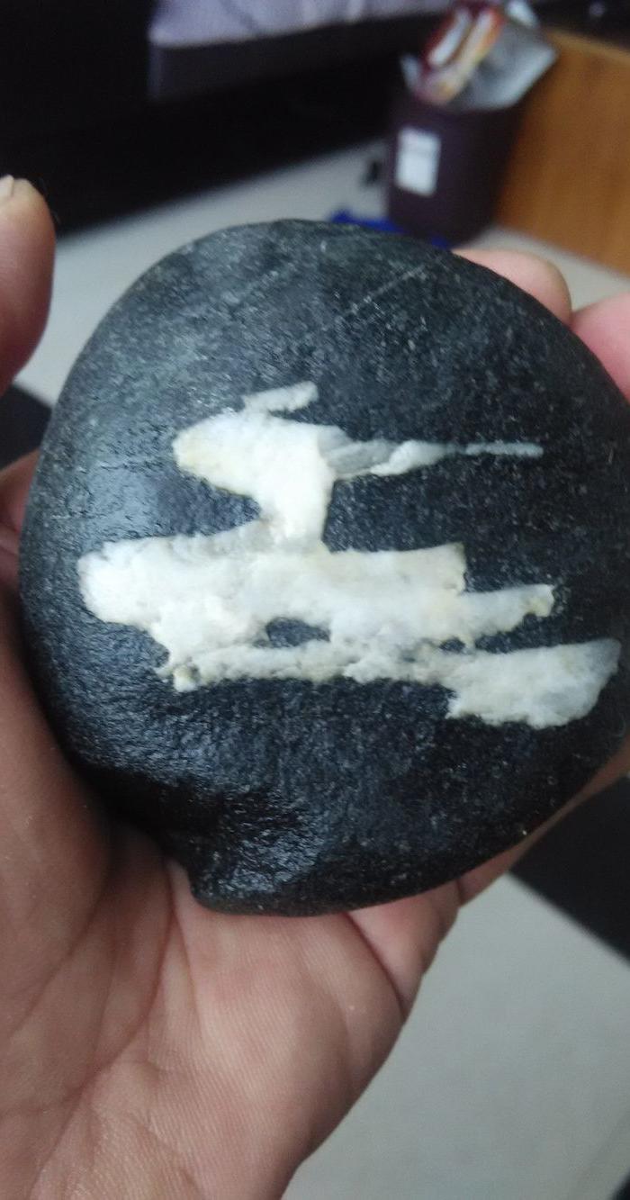 老师看看像啥_老师看看像啥鉴定_来自藏友墨