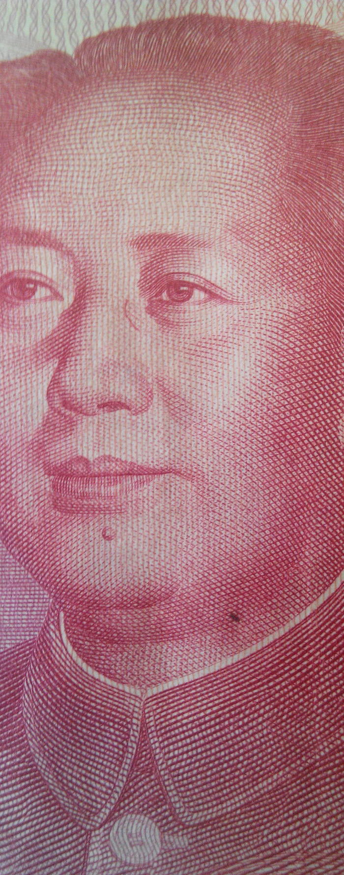 币_错版人民币鉴定_来自藏友附着神草枝柯1_