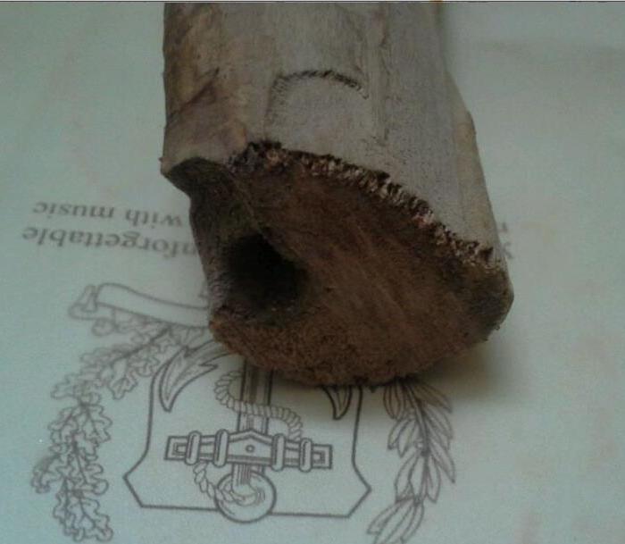 带有香味的木头_带有香味的木头鉴定_来自藏