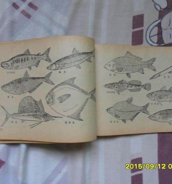 老屋翻出一本书_老屋翻出一本书鉴定_来自藏