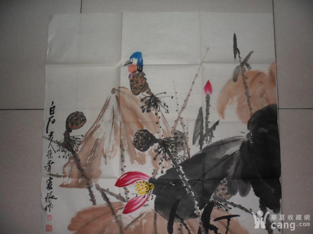 齐灵根_齐灵根鉴定_来自藏友引领LTE4G网络