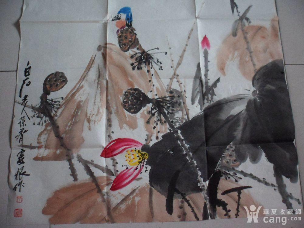 齐灵根_齐灵根鉴定_来自藏友引领LTE4G网络