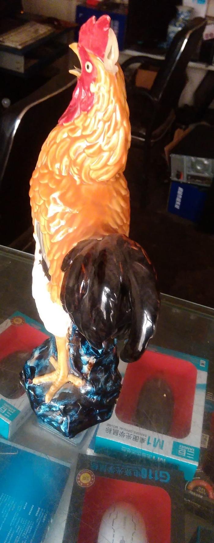 一个老公鸡大家看看_一个老公鸡大家看看鉴定