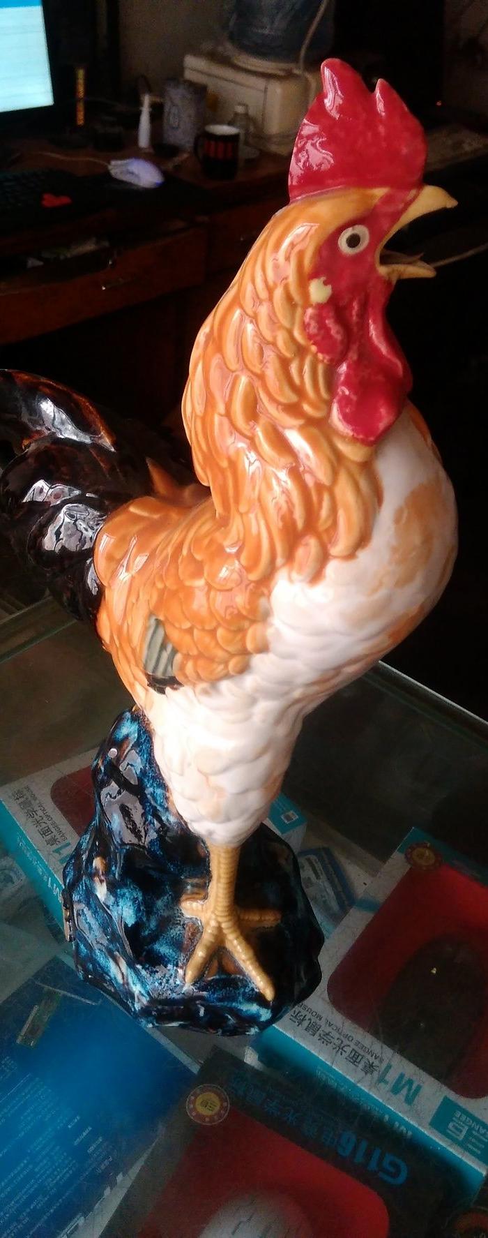 一个老公鸡大家看看_一个老公鸡大家看看鉴定