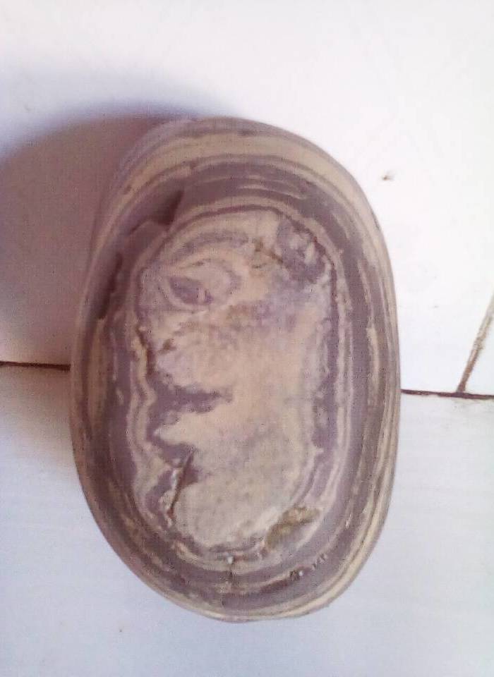 胎儿奇石--生命的声源_胎儿奇石--生命的声源鉴