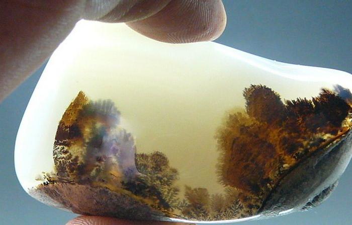 玛瑙水草风景石---林海听涛。_玛瑙水草风景石