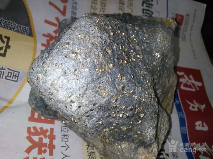 请各位高人帮我看看,这块石头是金矿石吗?
