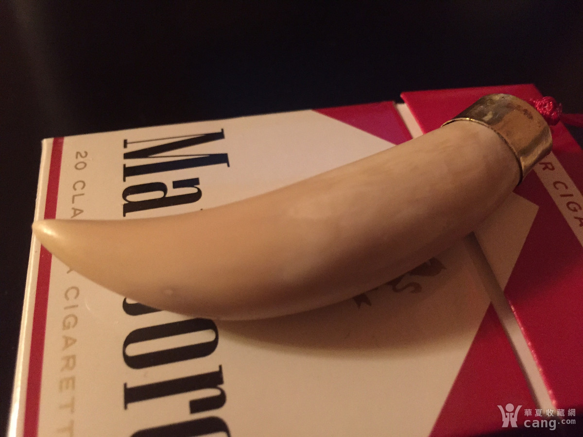 埃塞俄比亚狮子牙两个_鉴定频道_华夏收藏网