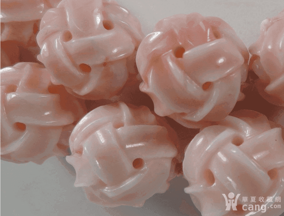 请各位老师特别是版主老师鉴定真正的孩儿面珊瑚,照片更新