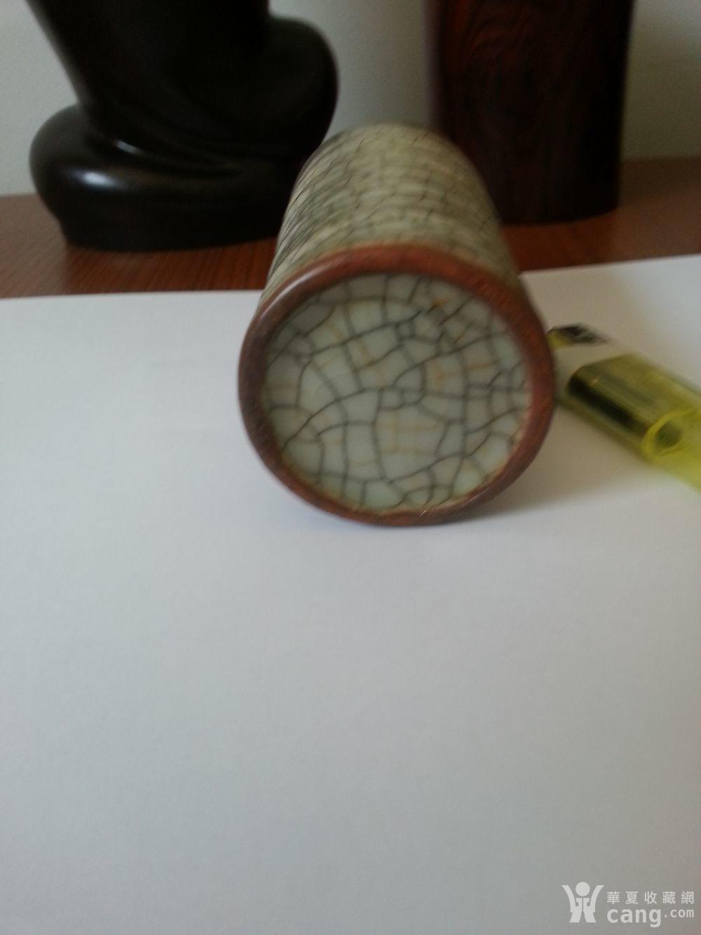怎么养金丝铁线 20150823090640c654bacf02d8b19a.jpg!s1200