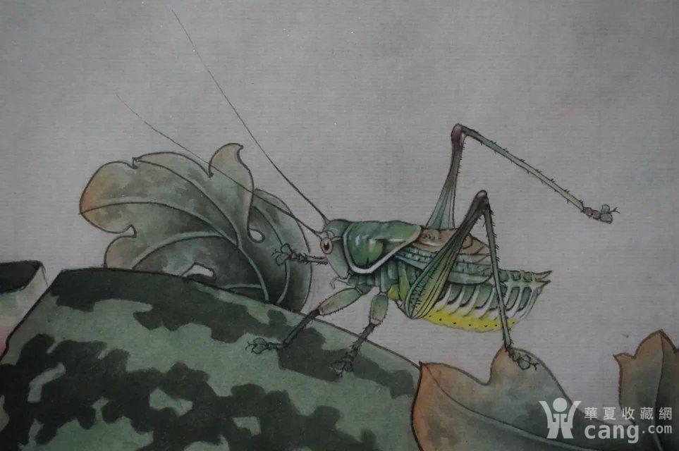 河北画家孙乾(西瓜 蝈蝈)