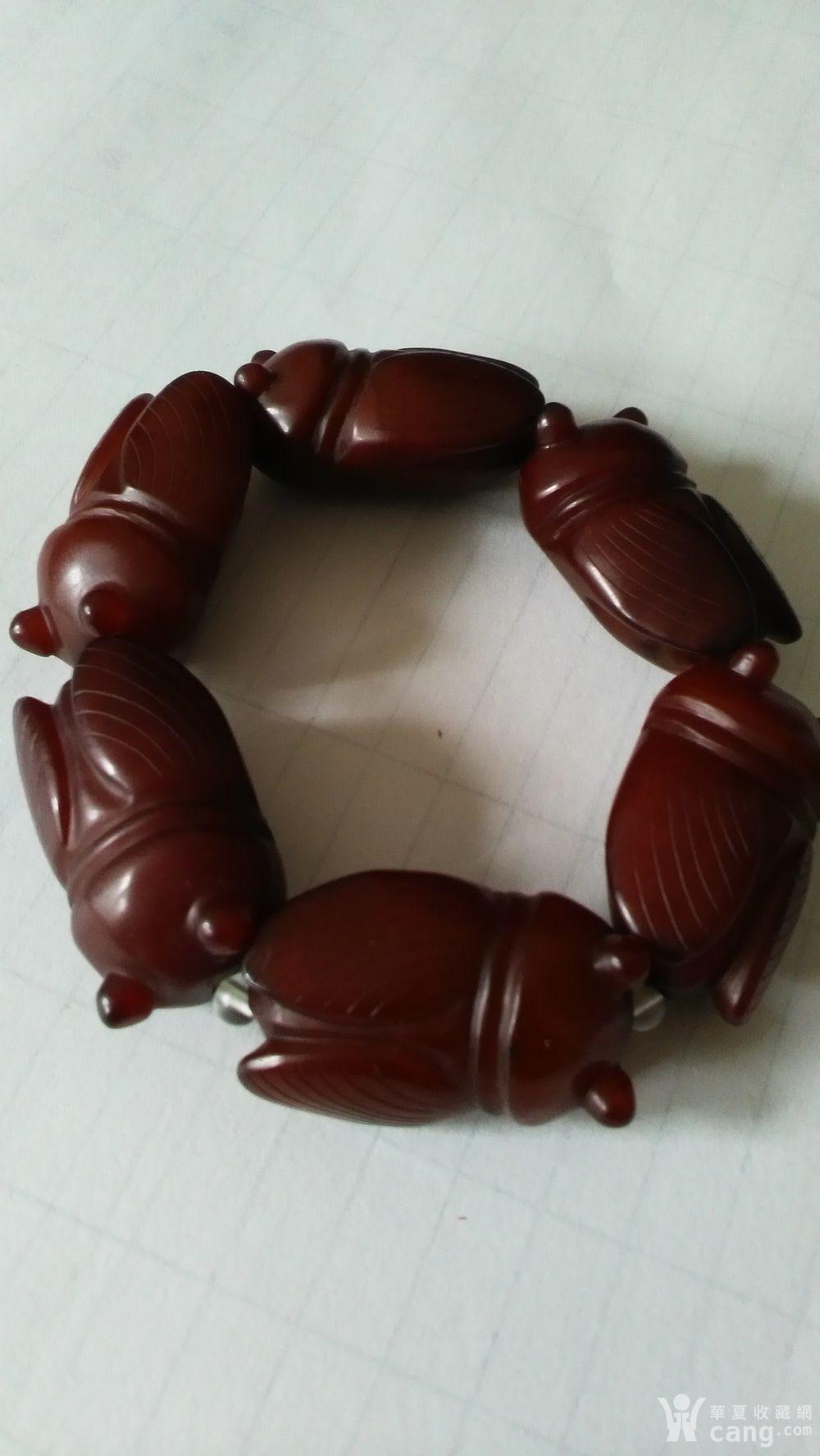 老和田红玉 玉蝉手串