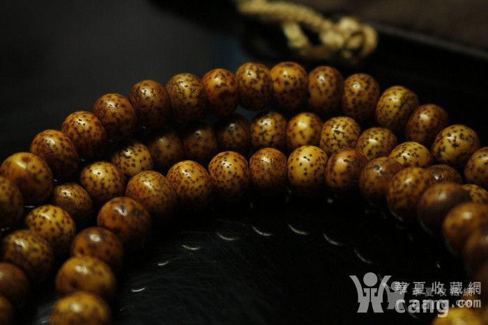 老金刚橛藏式 20160306170621xzki1q48yy65r144.jpg!s1200