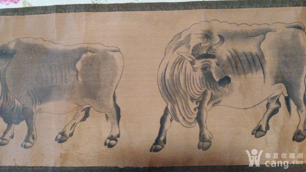 金农题款五牛图_鉴定频道_华夏收藏网