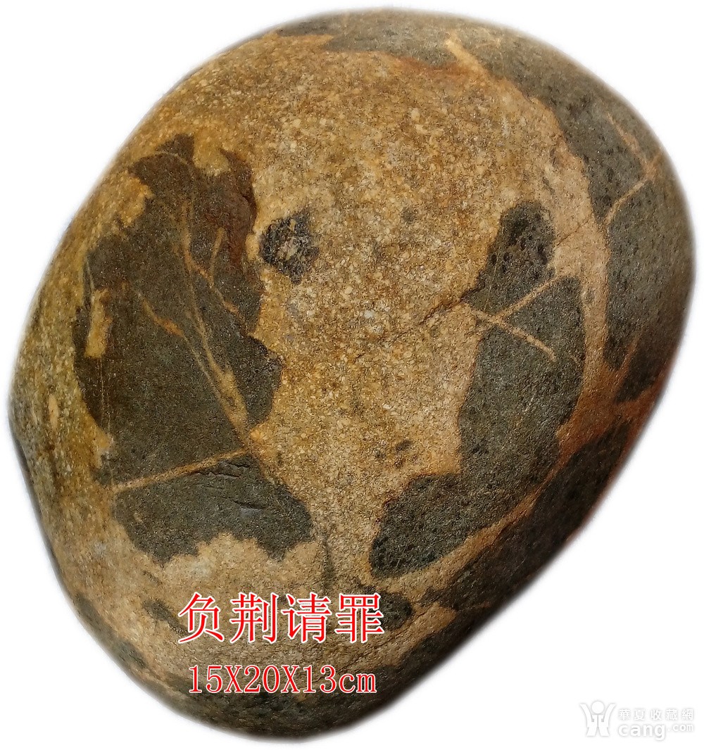 成语什么什么什么石_不接是什么成语(4)