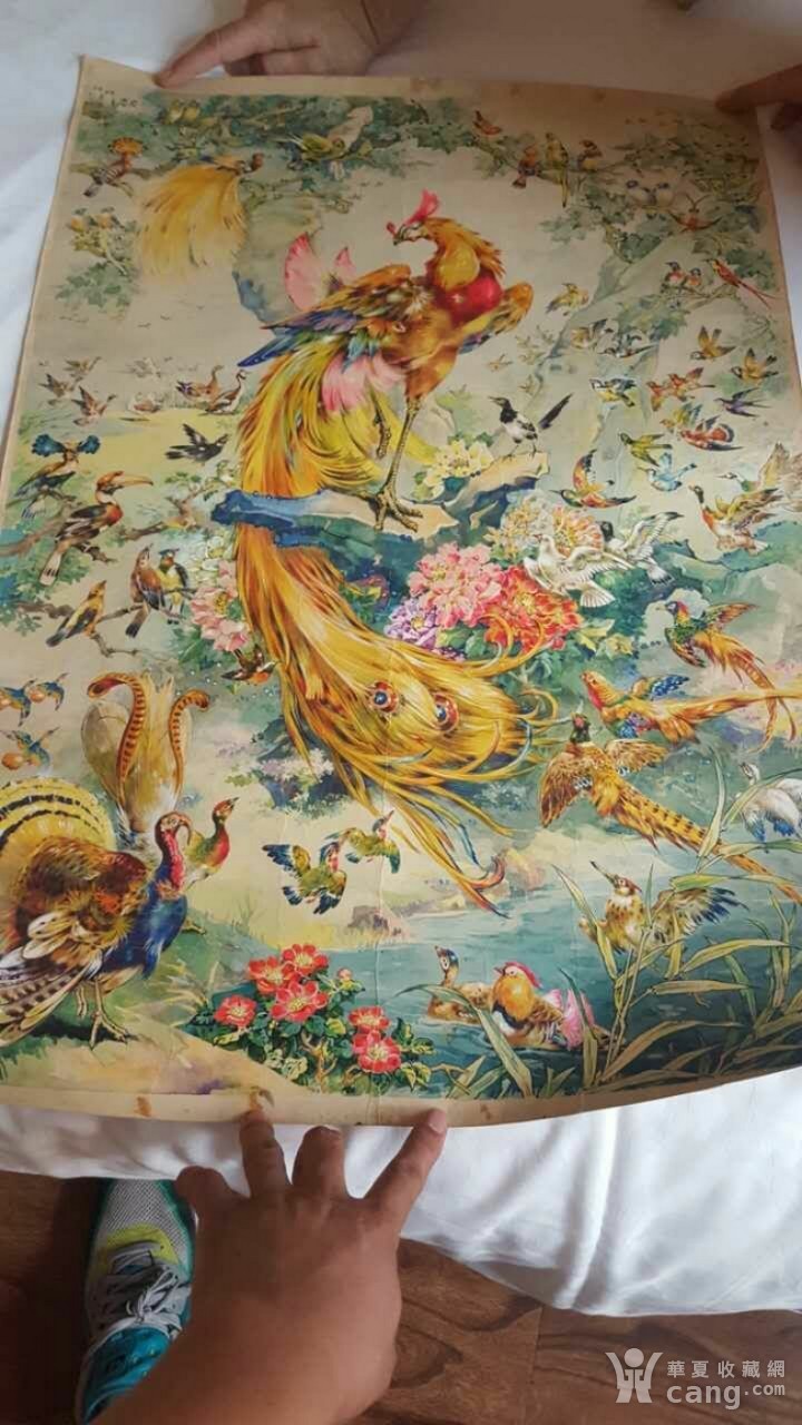 何逸梅 年画原版 百鸟朝凤_鉴定频道_华夏收藏网