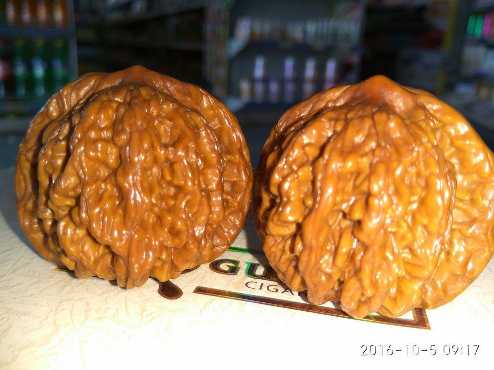 201610050249549qqout23r5wrt4ph.jpg!s1200