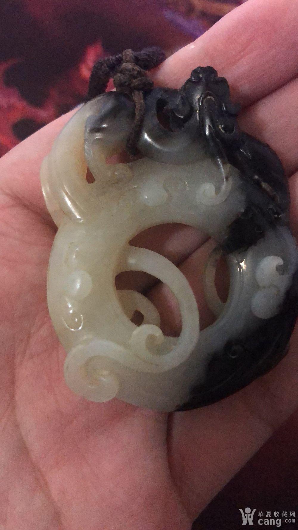 20190326150357q5yg3shw6uesnhsq.jpg!s1200